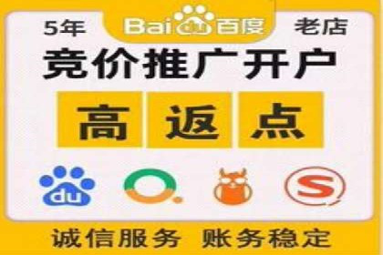 行业标杆：SEM托管公司案例解析